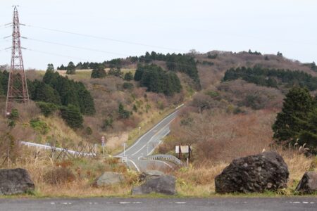 今年はさらにすごいのが。。。