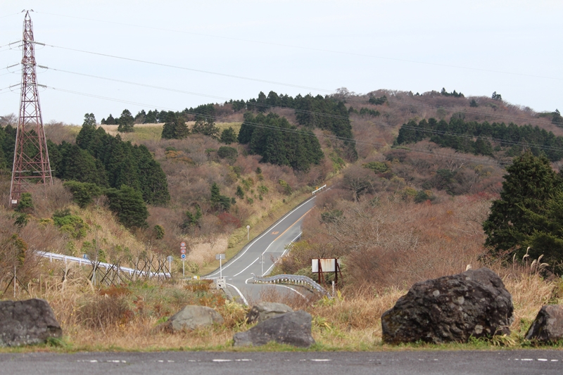 今年はさらにすごいのが。。。
